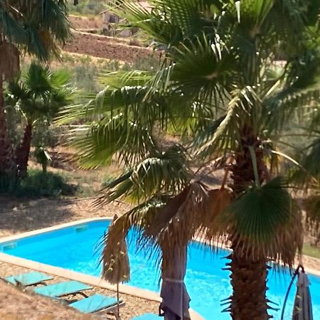 La Venturonne Appartement Neuf Rez De Jardin 45 M2 Vue Mer Et Vignes 10 Mn Des Plages Le Beausset Exterior foto