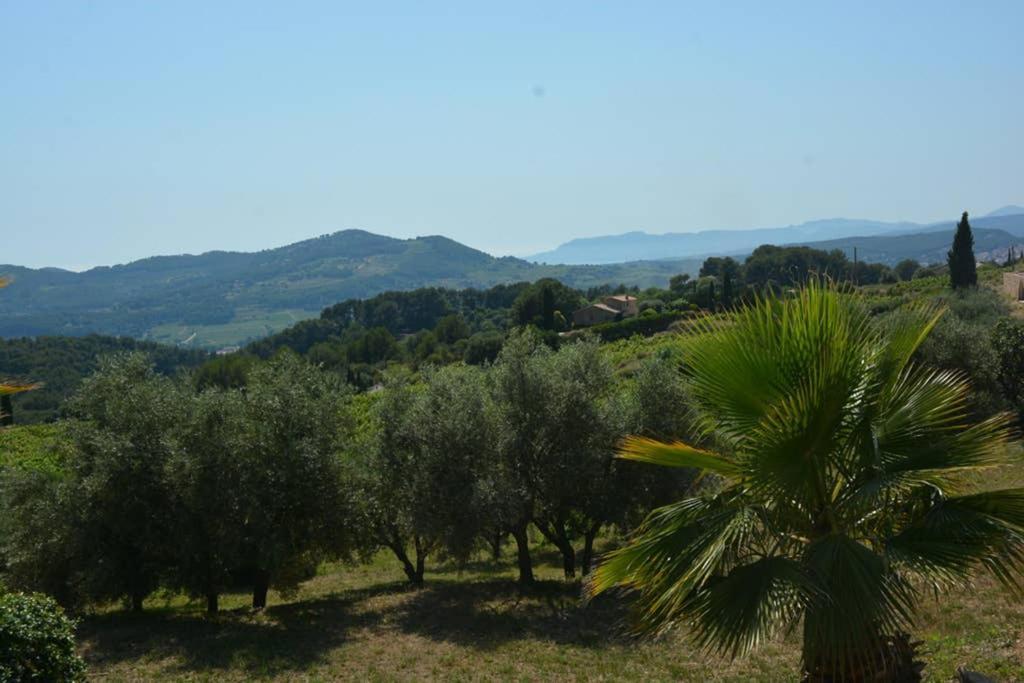 La Venturonne Appartement Neuf Rez De Jardin 45 M2 Vue Mer Et Vignes 10 Mn Des Plages Le Beausset Exterior foto