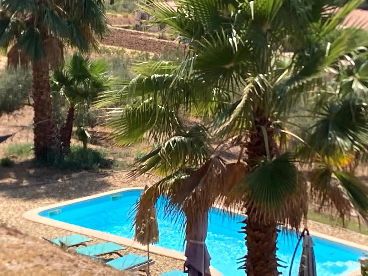 La Venturonne Appartement Neuf Rez De Jardin 45 M2 Vue Mer Et Vignes 10 Mn Des Plages Le Beausset Exterior foto